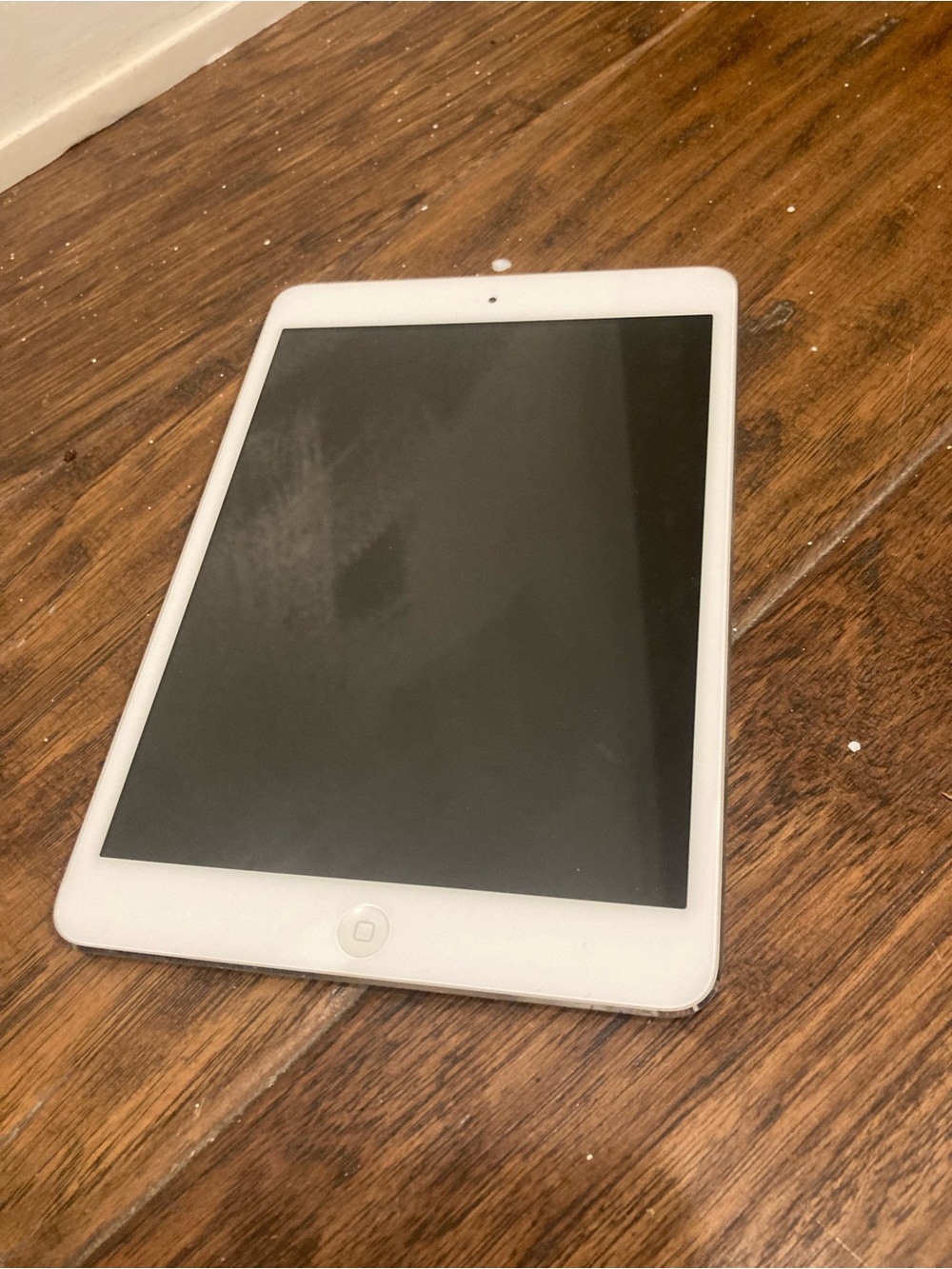 Apple iPad Mini in White with Black Display
